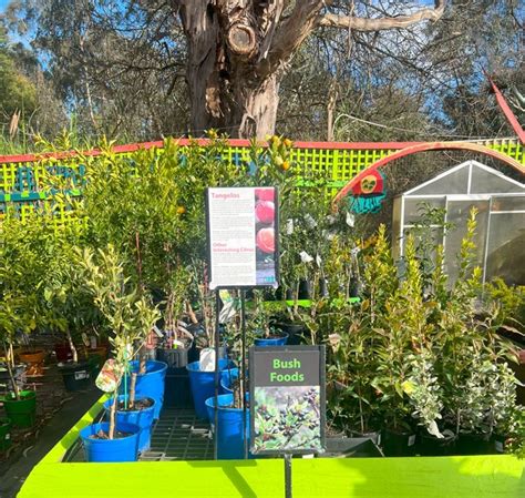 bulleen art and garden|bulleen art and garden nursery.